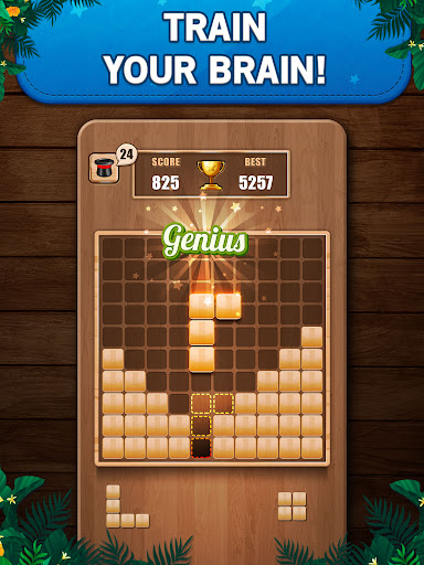 Wooden 100 Block Puzzle Game ภาพหน้าจอ 0