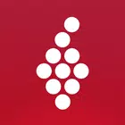 Vivino