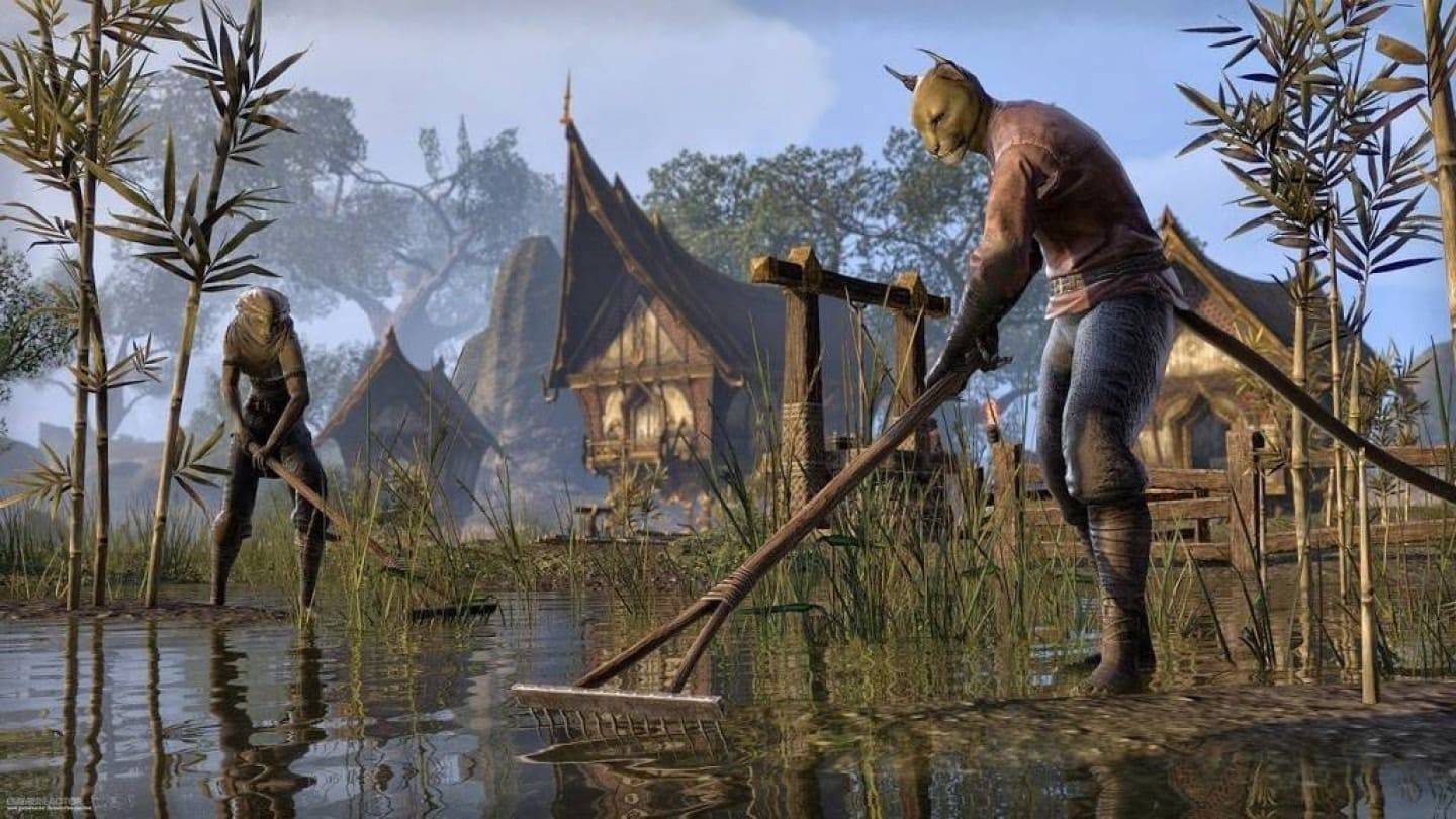 Gamer, Elder Scrolls VI rolü için 100 bin dolar harcıyor