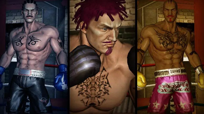 Punch Boxing 3D ဖန်သားပြင်ဓာတ်ပုံ 2