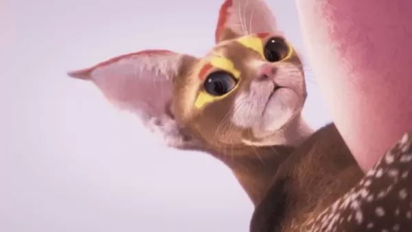Catly Pre-order Announcement