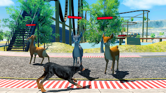 Doberman Dog Simulator Screenshot 1