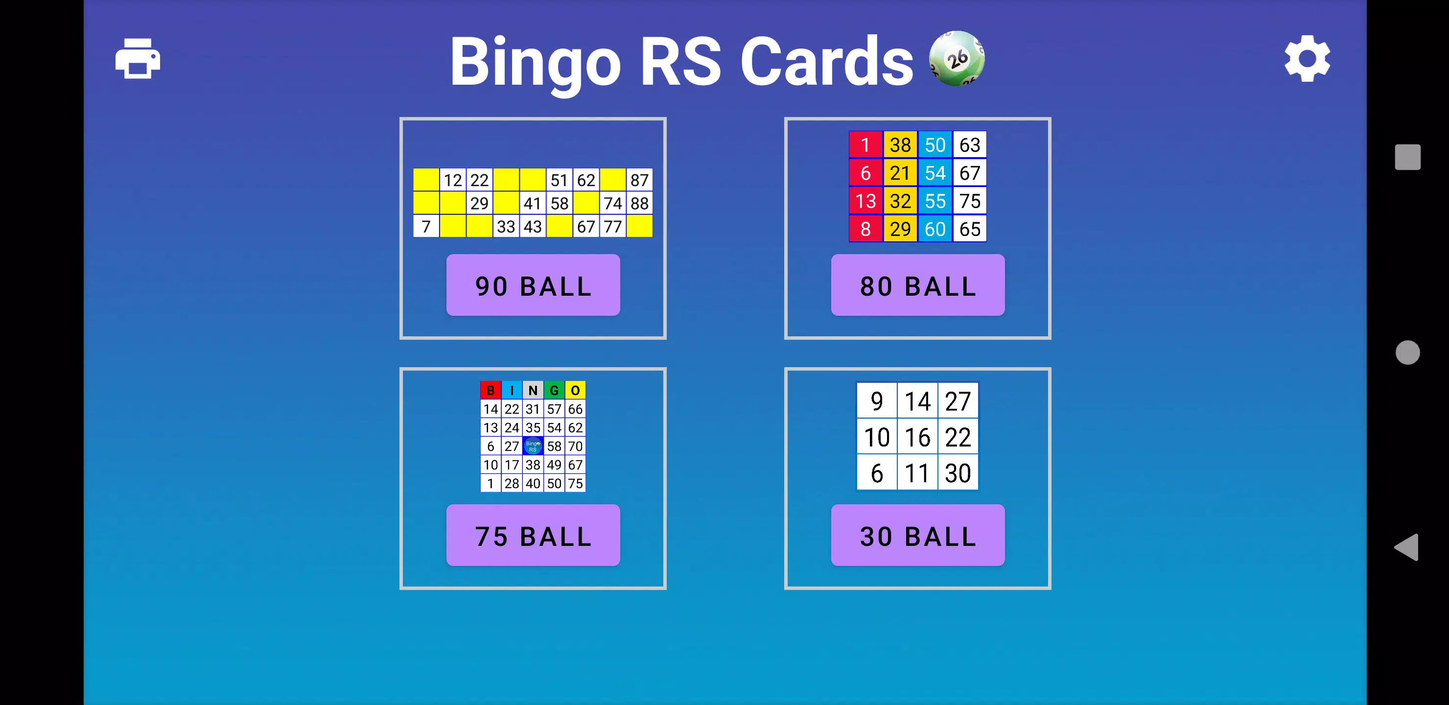Bingo RS Cards Captura de tela 0