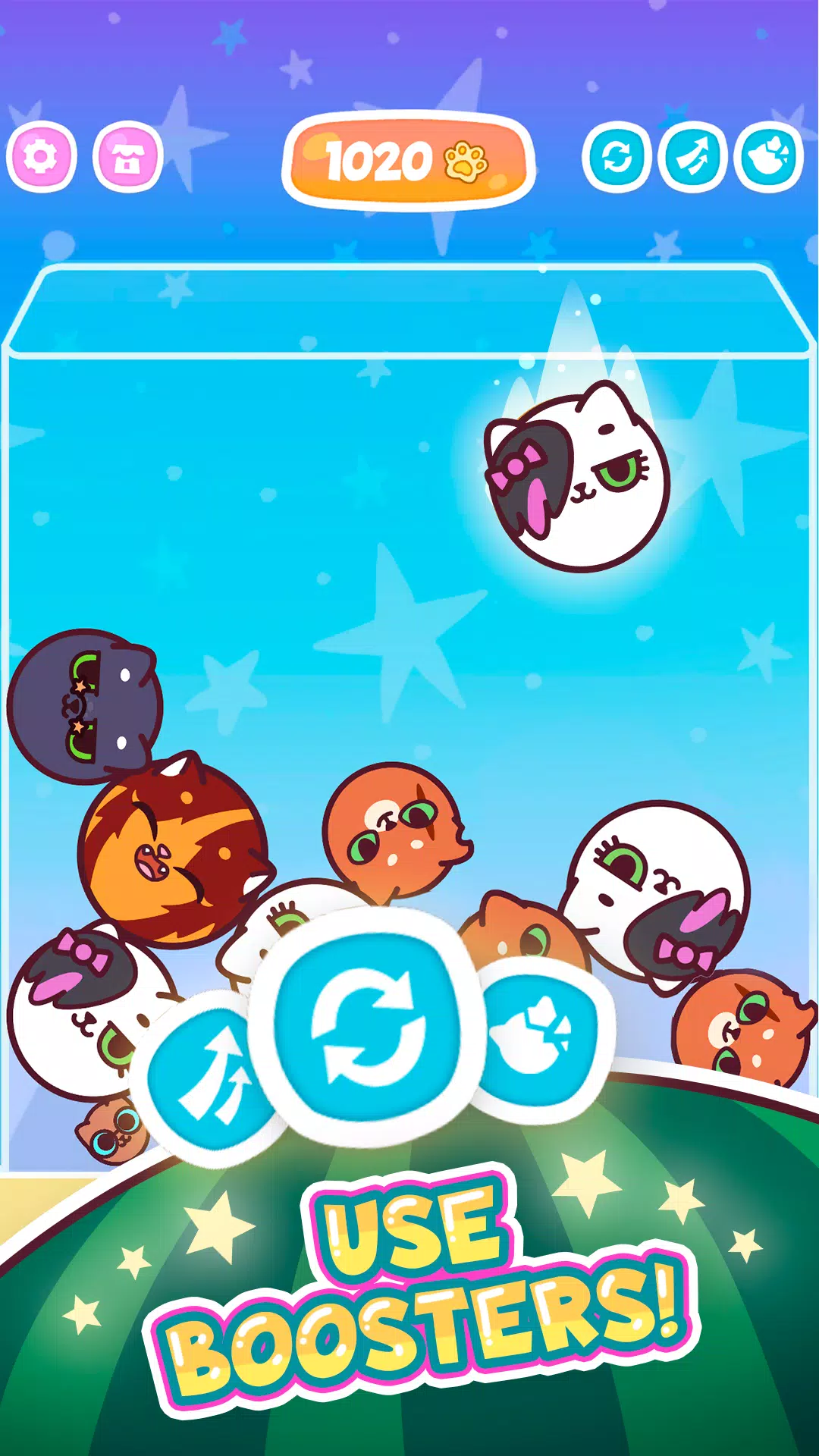 Watermelon Cats Captura de pantalla 1