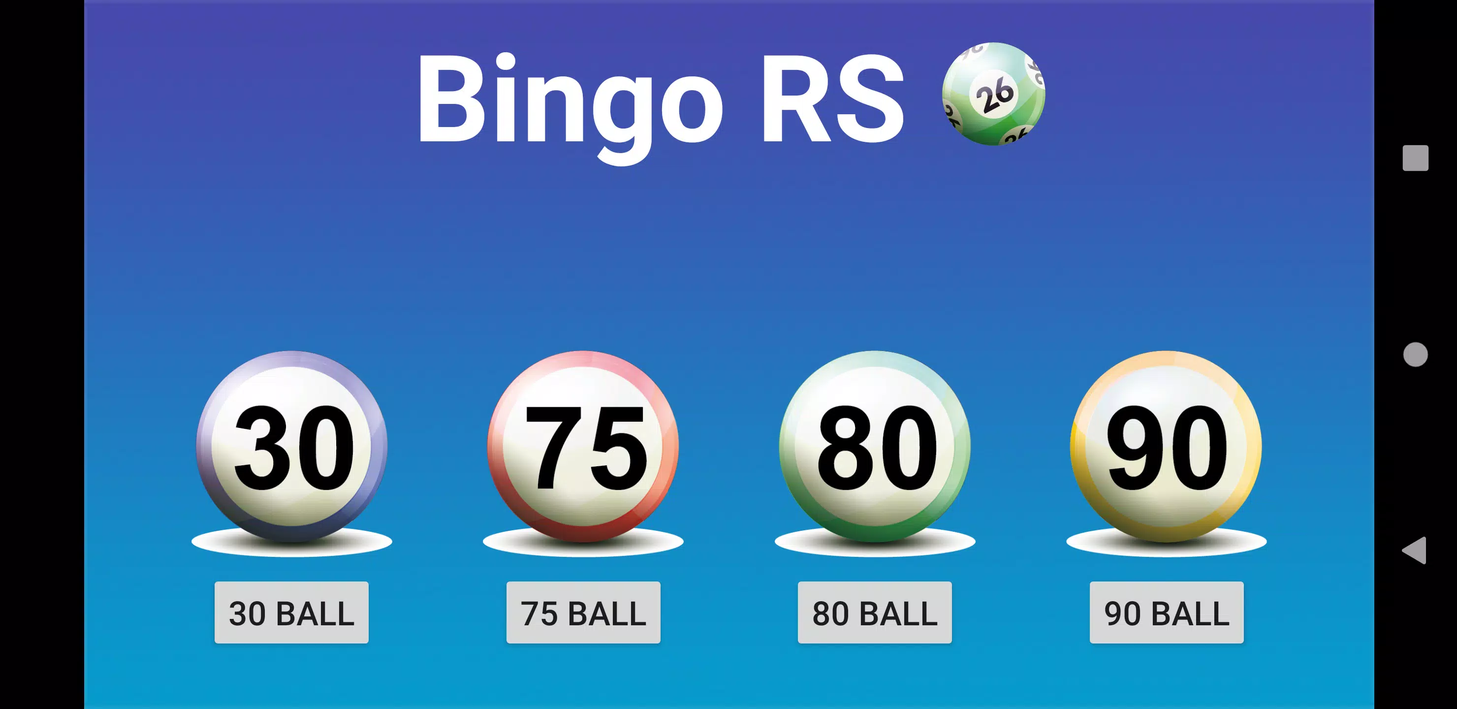 Bingo RS Captura de tela 0