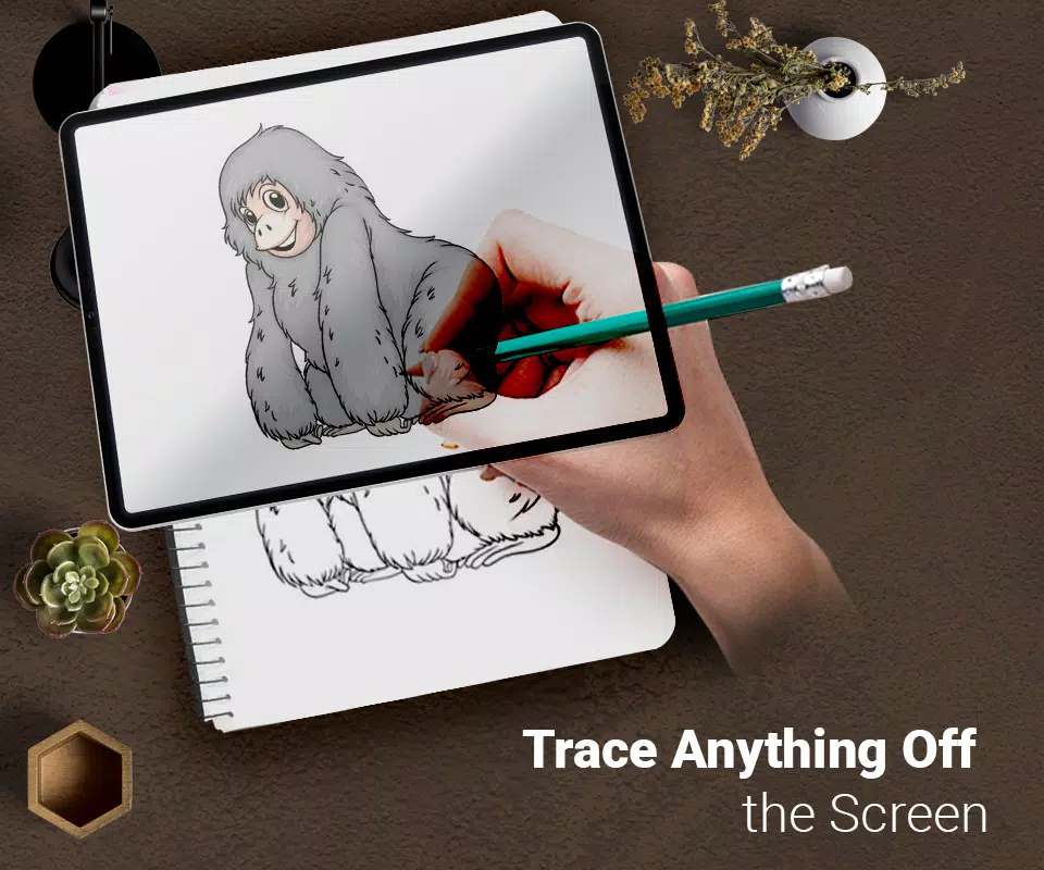 Draw : Trace & Sketch Ekran Görüntüsü 0