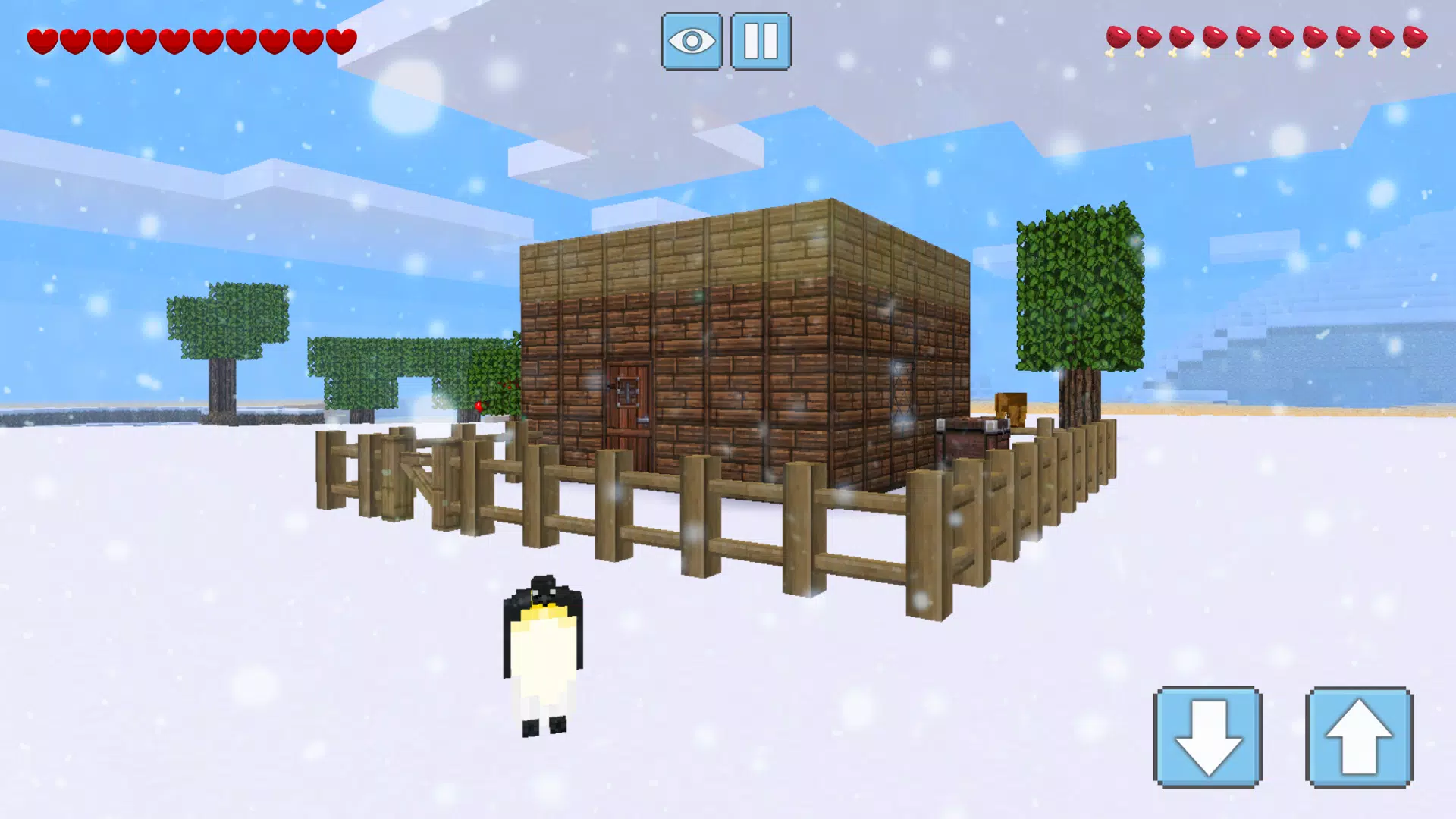 Winter Craft Capture d'écran 2