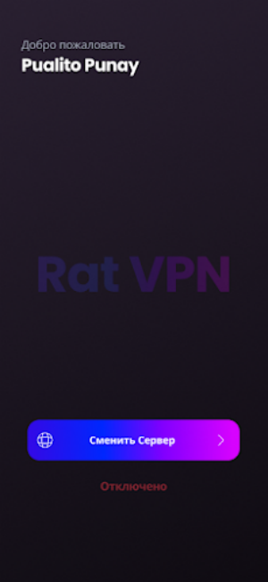 Rat VPN Capture d'écran 0