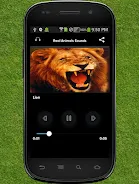 Real Animals Sound應用截圖第3張