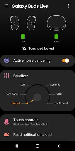 Schermata Galaxy Buds Live Manager 2