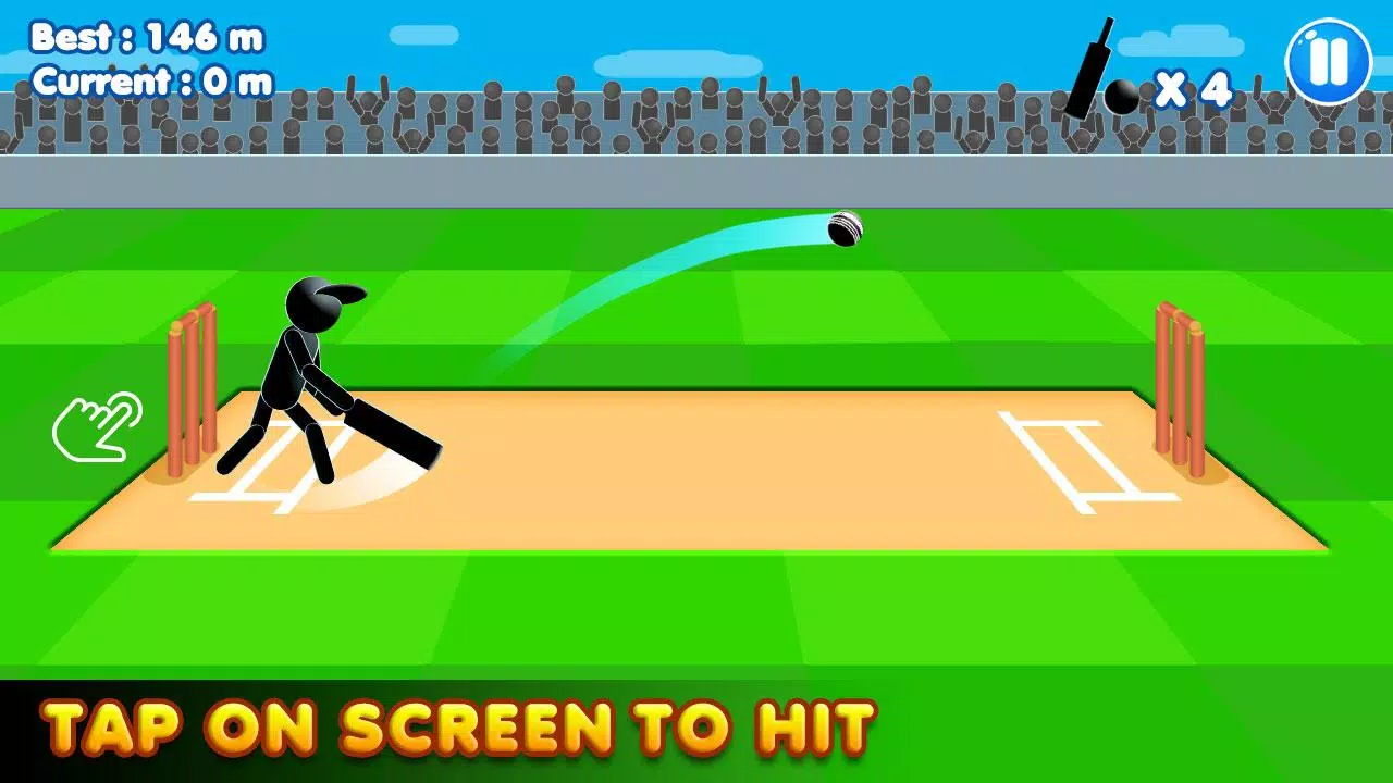 Schermata Stickman Cricket:Cricket Games 1