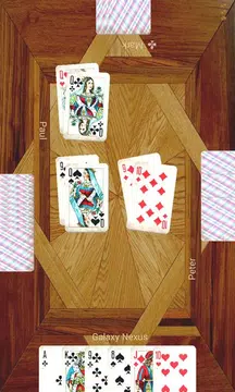 Durak plus应用截图第0张