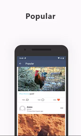 My Social Network Screenshot 1