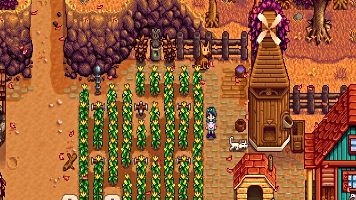 Comment obtenir plusieurs animaux de compagnie à Stardew Valley