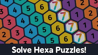 Make7 Hexa Puzzle应用截图第1张