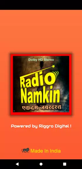 Radio Namkeen- FM Radio Online Screenshot 0