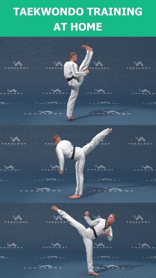 Mastering Taekwondo at Home Ảnh chụp màn hình 1