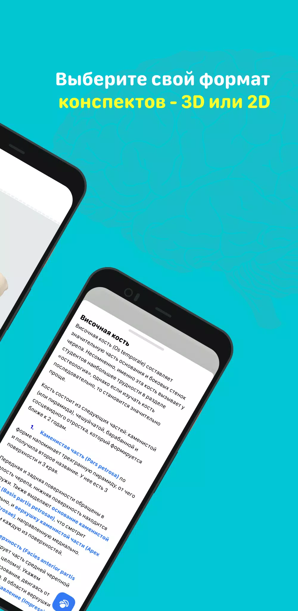 Учи Мед (Учи Анат) Скриншот 2