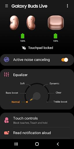 Schermata Galaxy Buds Live Manager 0