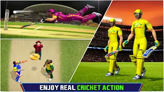 Indian Cricket Championship Screenshot 1