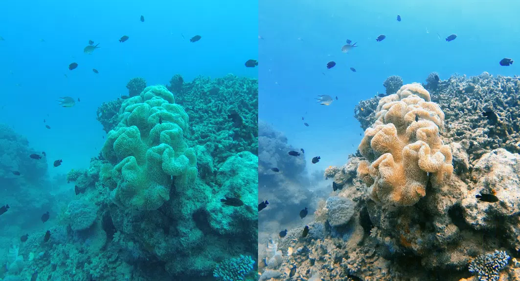 UwEdit - Diving footage editor Screenshot 2