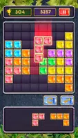 Block Jewel: Brick Puzzle Game 스크린샷 0