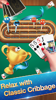 Cribbage - Card Game应用截图第1张