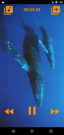 Whales songs to sleep スクリーンショット 2