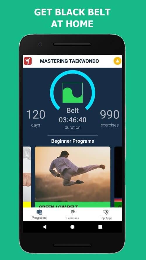 Mastering Taekwondo at Home Ảnh chụp màn hình 2