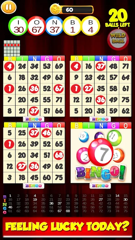 New Bingo Cards Game Free Screenshot 0