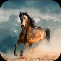 Horse Wallpapers