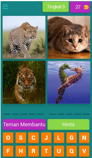 Tebak-tebakan Gambar Hewan应用截图第3张