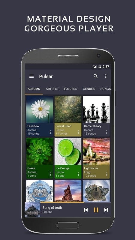 Pulsar Music Player Pro Tangkapan skrin 0