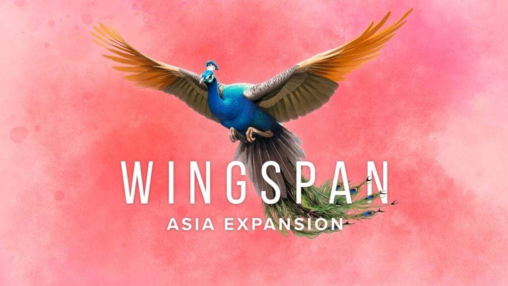 Mở rộng Asia Asia ra mắt năm nay: Thẻ và chế độ mới được thêm vào