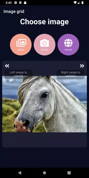 ImageGrid Captura de pantalla 1