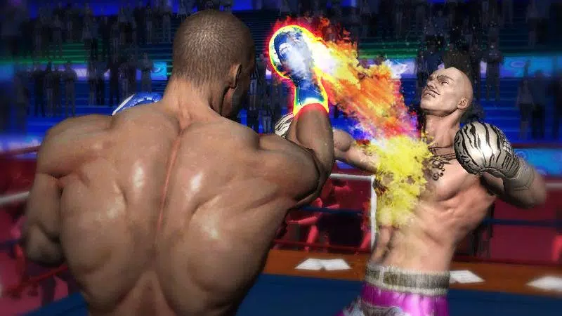 Punch Boxing 3D ဖန်သားပြင်ဓာတ်ပုံ 3