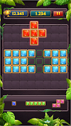 Block Puzzle Jewel Classic Скриншот 1