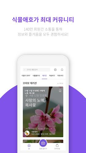 모야모應用截圖第2張