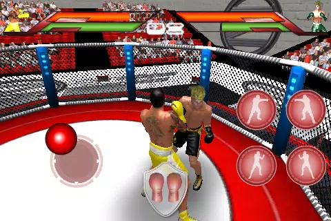 Virtual Boxing 스크린샷 0