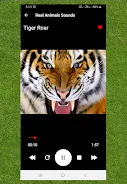 Real Animals Sound應用截圖第0張