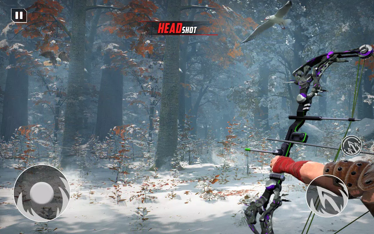 Archery Bow Hunt Shooting V2 スクリーンショット 2