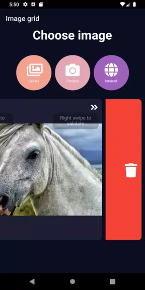 ImageGrid Captura de pantalla 2