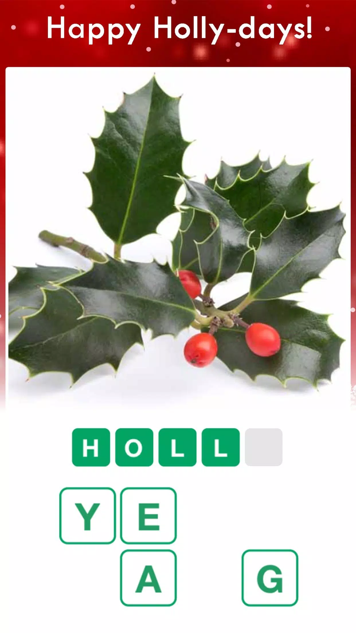 Christmas Pics Quiz Game Zrzut ekranu 2