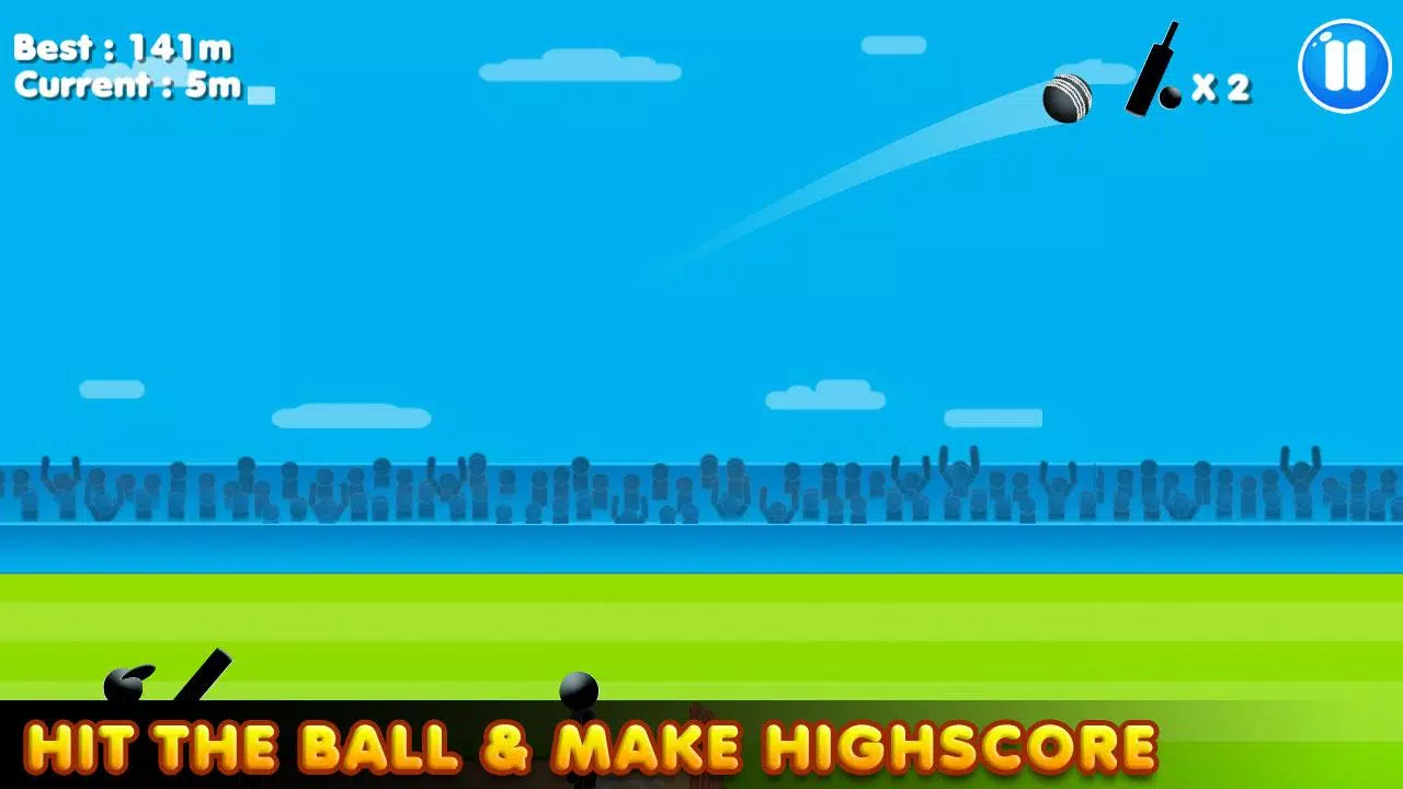 Schermata Stickman Cricket:Cricket Games 3
