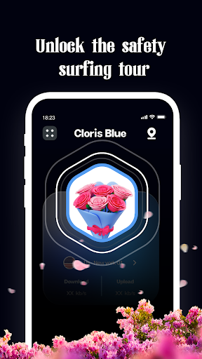 Cloris Blue VPN Screenshot 0