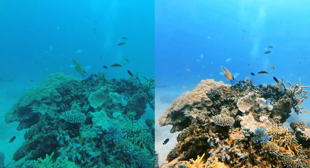 UwEdit - Diving footage editor Screenshot 0