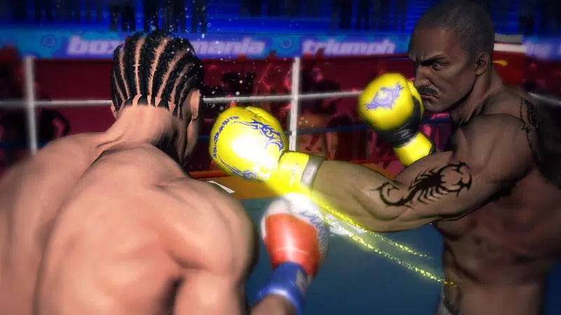 Punch Boxing 3D ဖန်သားပြင်ဓာတ်ပုံ 1