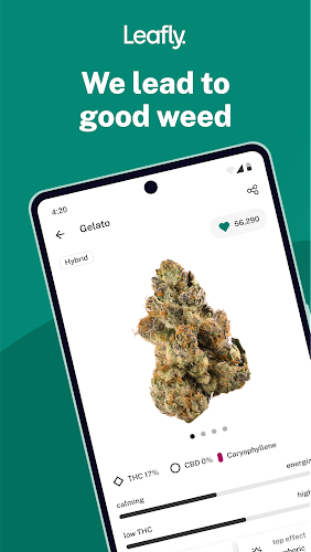 Leafly: Find Cannabis and CBD Zrzut ekranu 0