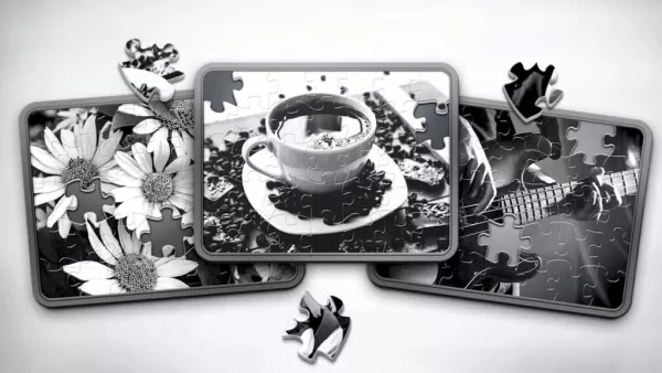 Magic Jigsaw Puzzles lance ses premiers packs monochromes exclusifs !