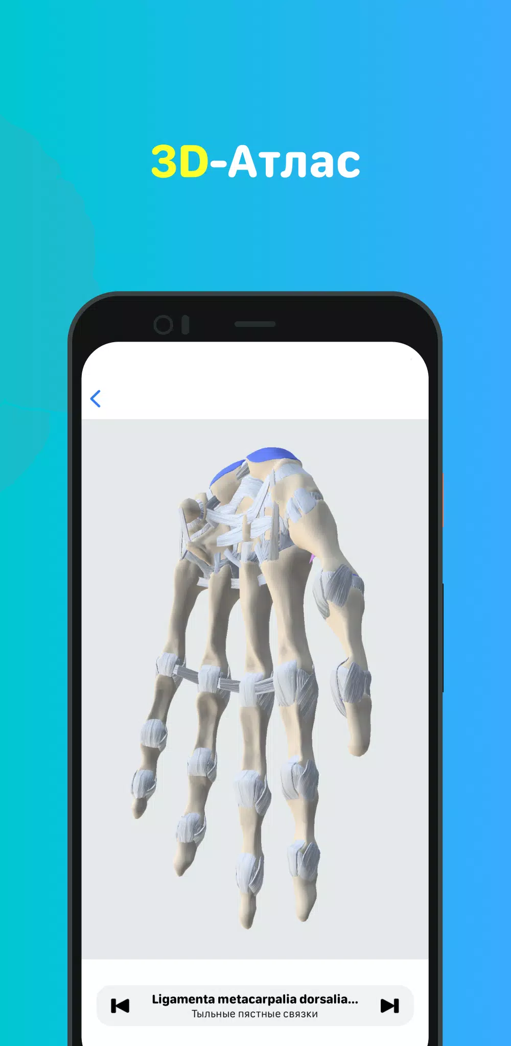 Учи Мед (Учи Анат) Скриншот 3